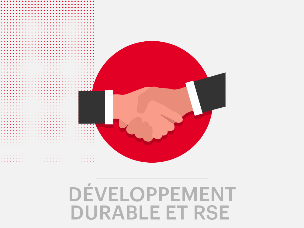 MENARD - Visuel Développement durable et RSE